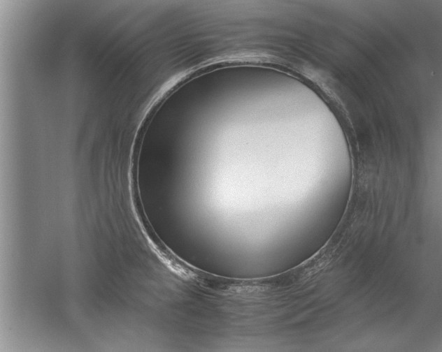 X0000052551237200507152151