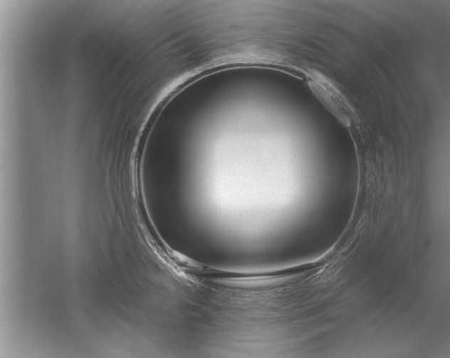 X0000052551238200507152151