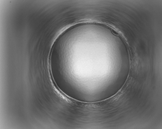 X0000052551239200507152151