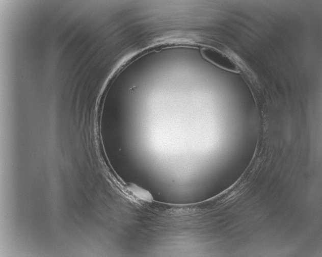 X0000052551240200507152151