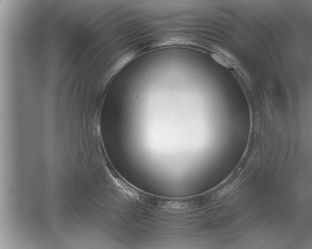 X0000052551241200507152151