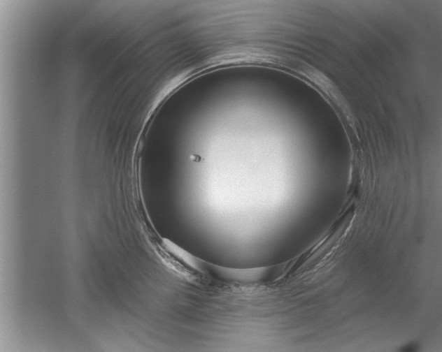 X0000052551242200507152151