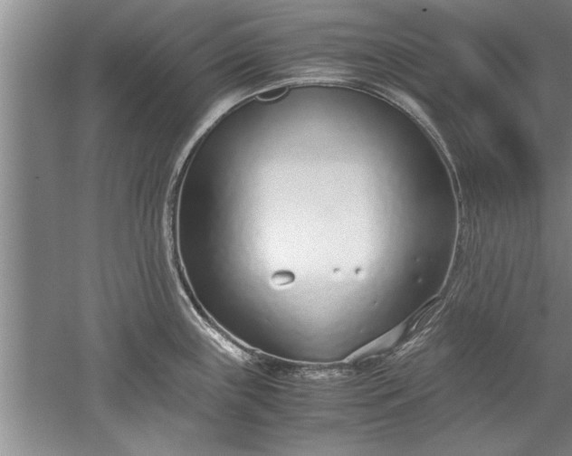 X0000052551243200507152151