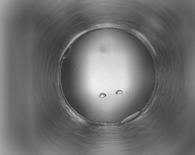 X0000052551244200507152151