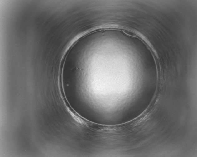 X0000052551245200507152151