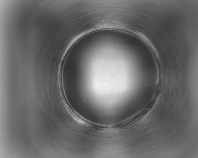 X0000052551246200507152151