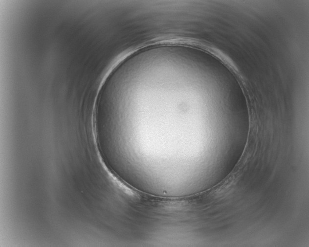 X0000052551247200507152151