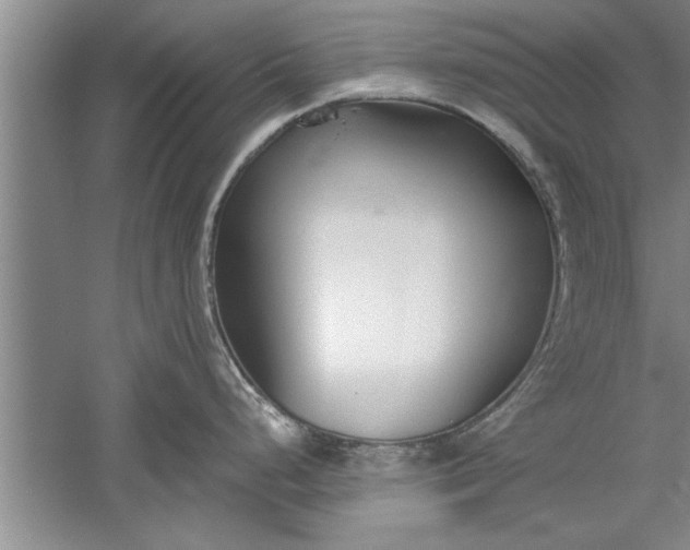 X0000052551248200507152151