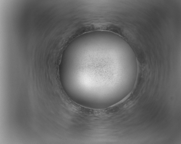 X0000052551249200507152150