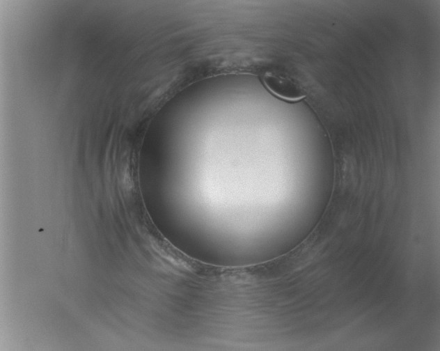 X0000052551250200507152150