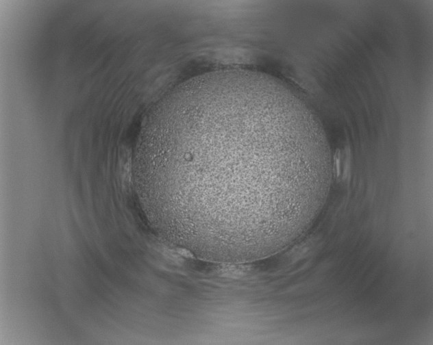 X0000052551251200507152150