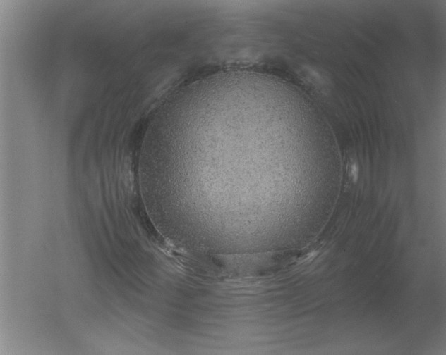 X0000052551252200507152150