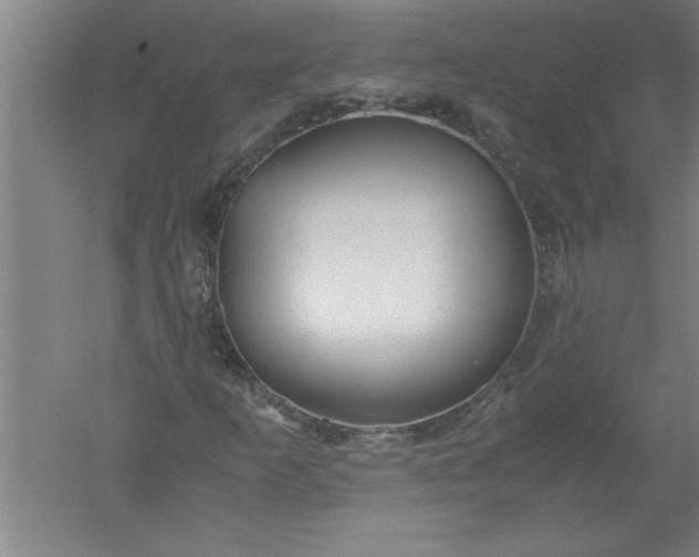 X0000052551253200507152150