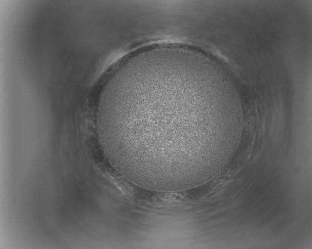 X0000052551255200507152150