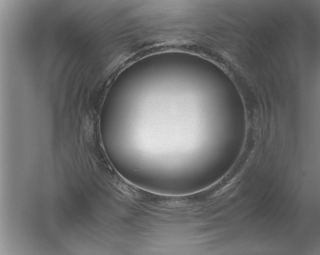 X0000052551257200507152150