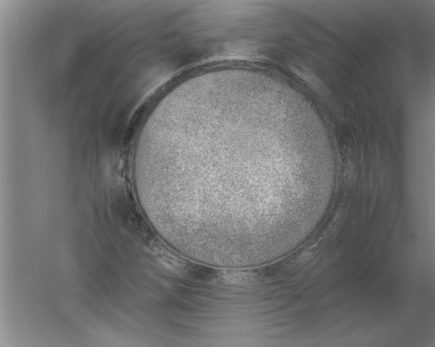 X0000052551258200507152150