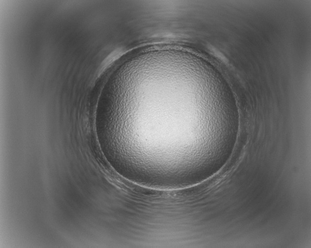 X0000052551259200507152150