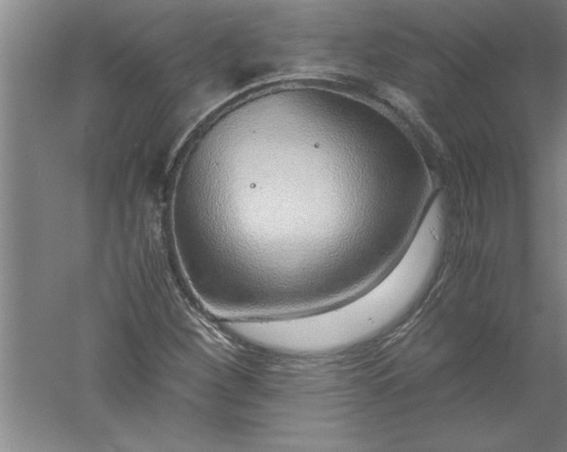 X0000052551260200507152150