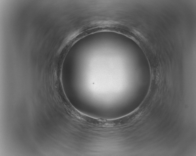 X0000052551261200507152150