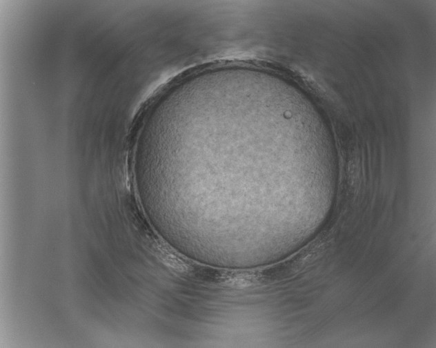 X0000052551262200507152150