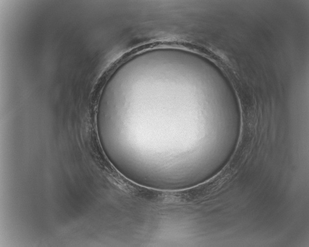 X0000052551263200507152150