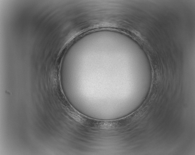 X0000052551266200507152150