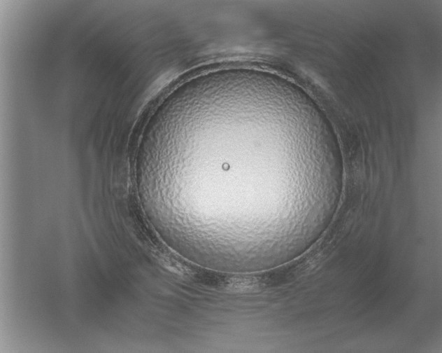 X0000052551267200507152150