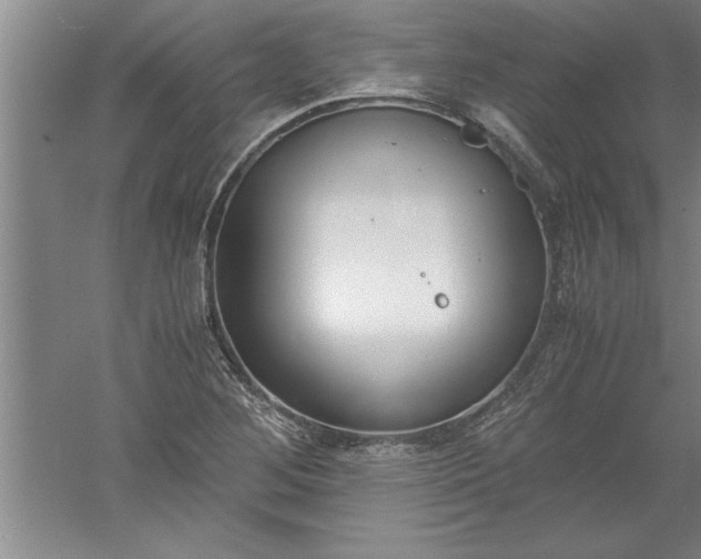 X0000052551268200507152150