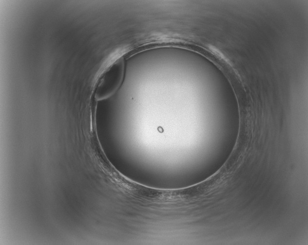 X0000052551269200507152150