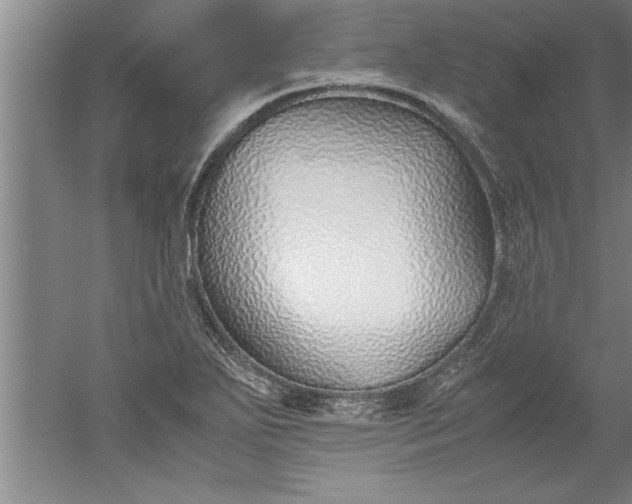 X0000052551271200507152150