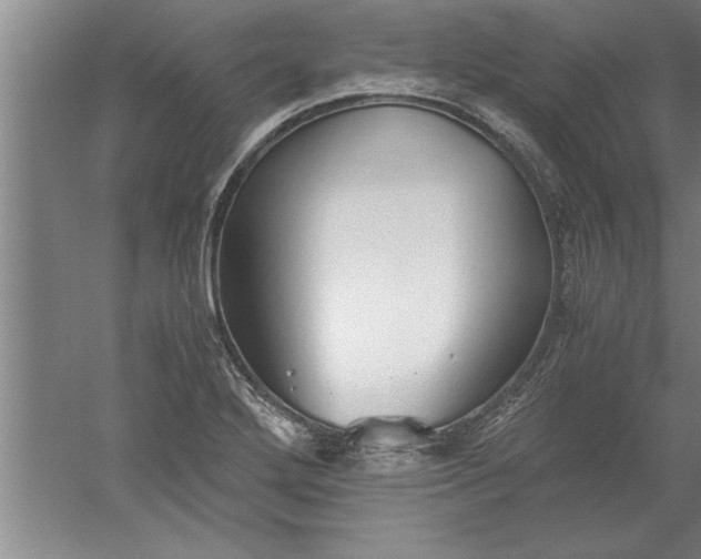 X0000052551272200507152150