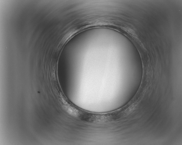 X0000052551273200507152150