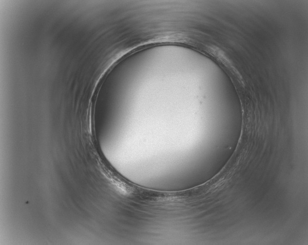 X0000052551276200507152150