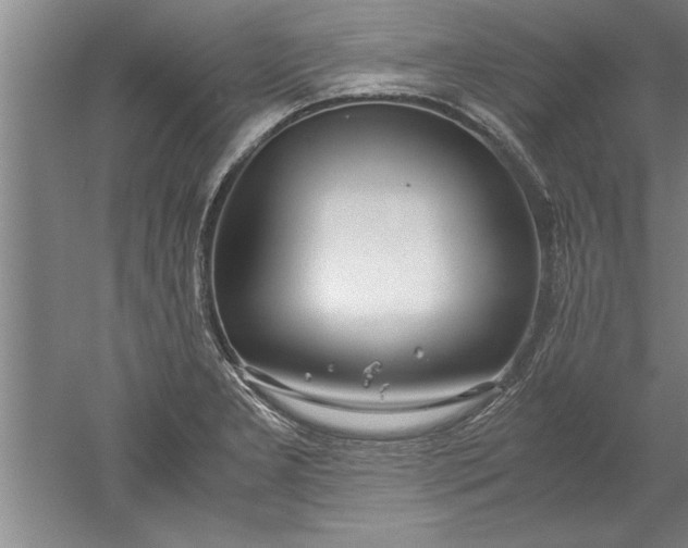 X0000052551277200507152150