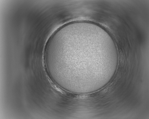 X0000052551278200507152150