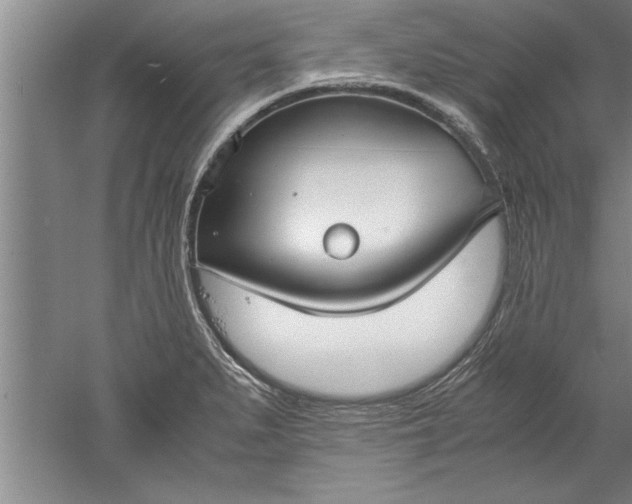 X0000052551279200507152150