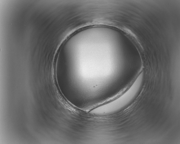 X0000052551280200507152150