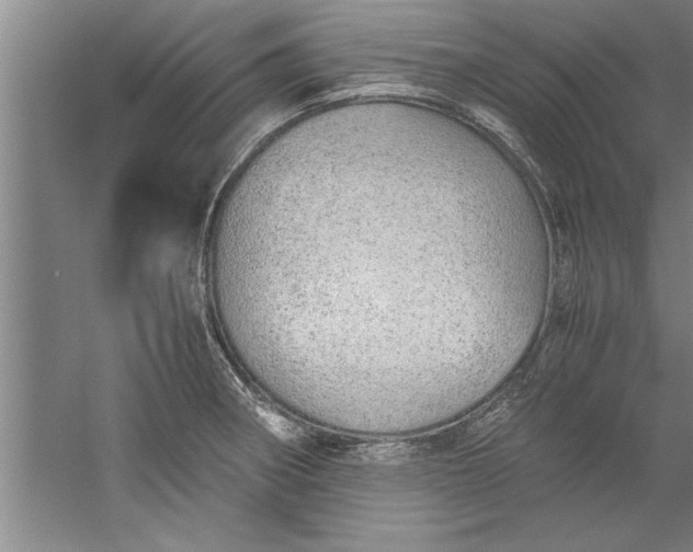 X0000052551282200507152150