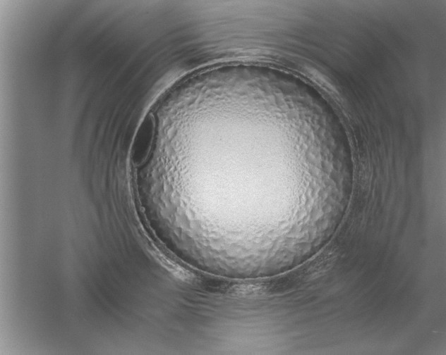 X0000052551283200507152150