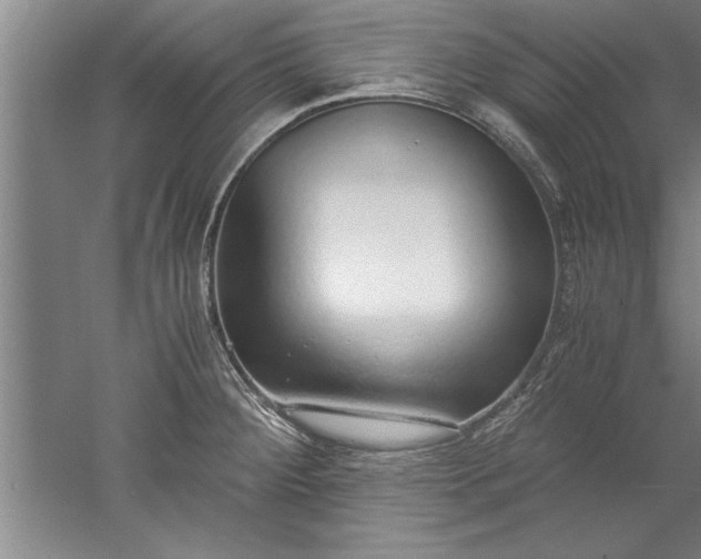 X0000052551284200507152150