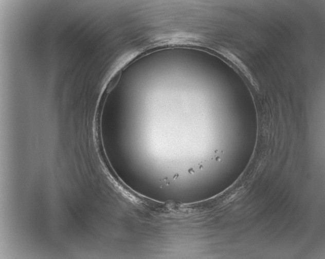 X0000052551285200507152150