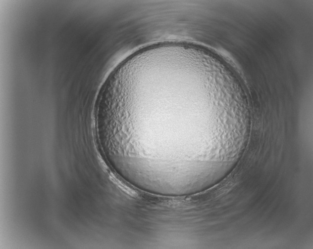 X0000052551287200507152150