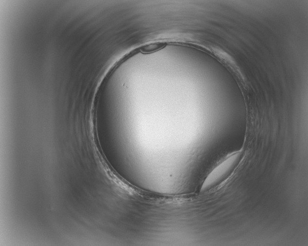 X0000052551288200507152150