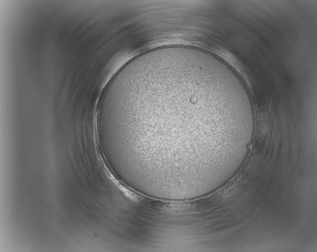 X0000052551290200507152150