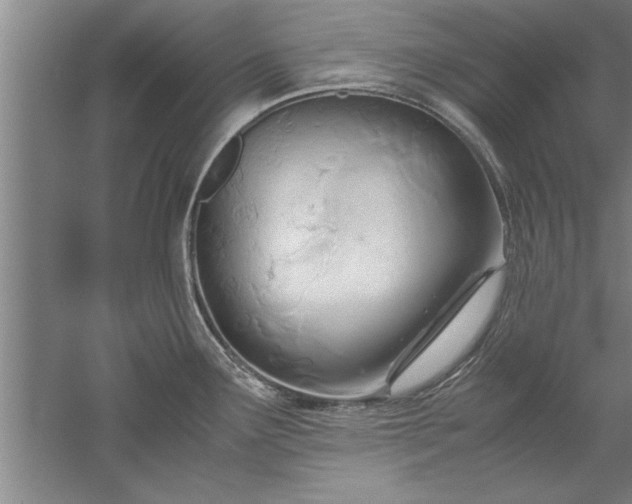 X0000052551291200507152150