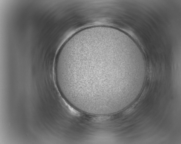 X0000052551294200507152150