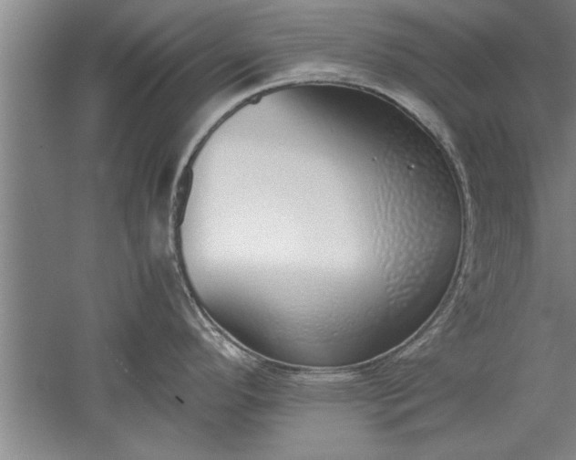 X0000052551296200507152150