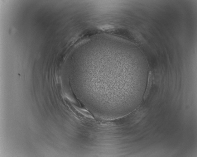 X0000052551298200507152149