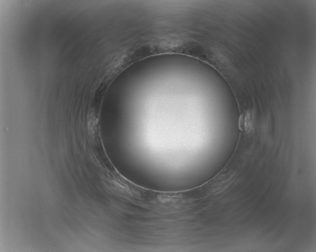 X0000052551299200507152149