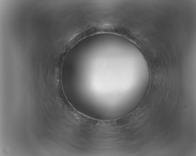 X0000052551301200507152149